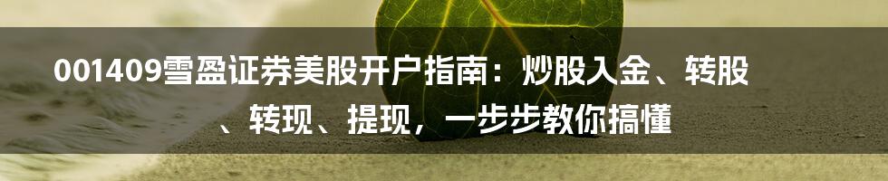 001409雪盈证券美股开户指南：炒股入金、转股、转现、提现，一步步教你搞懂