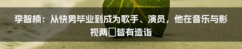 李智楠：从快男毕业到成为歌手、演员，他在音乐与影视两棲皆有造诣