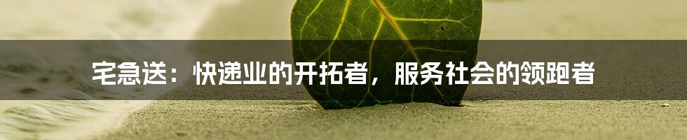 宅急送：快递业的开拓者，服务社会的领跑者