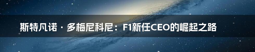 斯特凡诺·多梅尼科尼：F1新任CEO的崛起之路