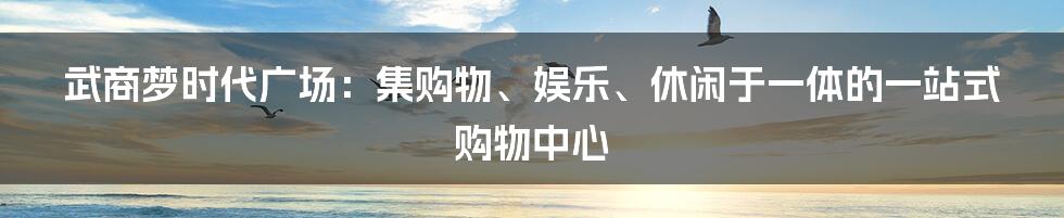 武商梦时代广场：集购物、娱乐、休闲于一体的一站式购物中心