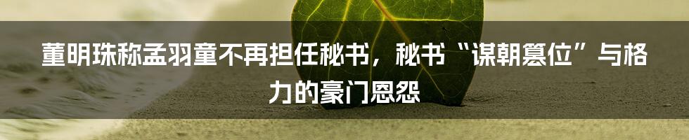 董明珠称孟羽童不再担任秘书，秘书“谋朝篡位”与格力的豪门恩怨