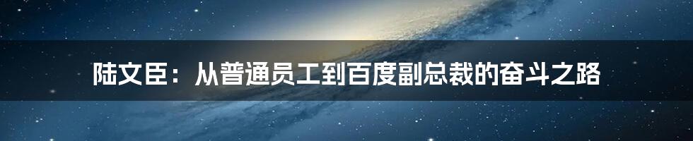 陆文臣：从普通员工到百度副总裁的奋斗之路