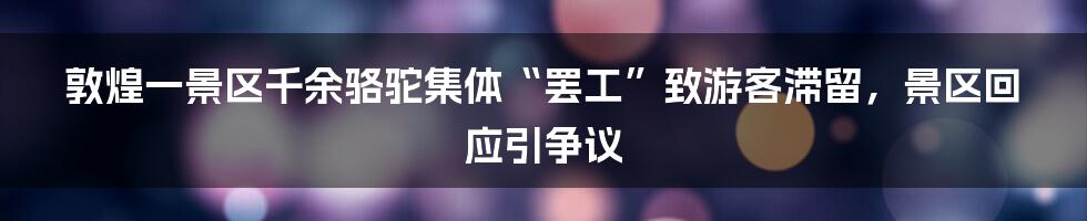 敦煌一景区千余骆驼集体“罢工”致游客滞留，景区回应引争议