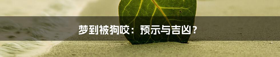 梦到被狗咬：预示与吉凶？