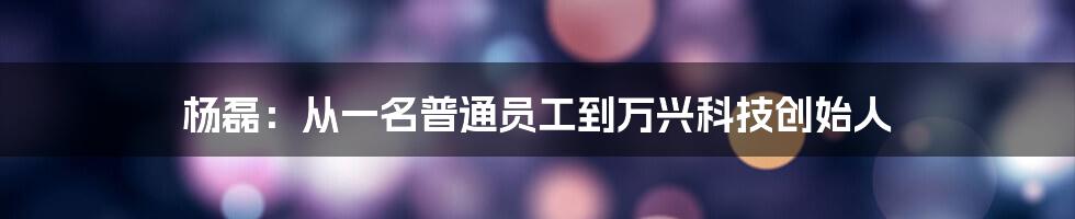 杨磊：从一名普通员工到万兴科技创始人