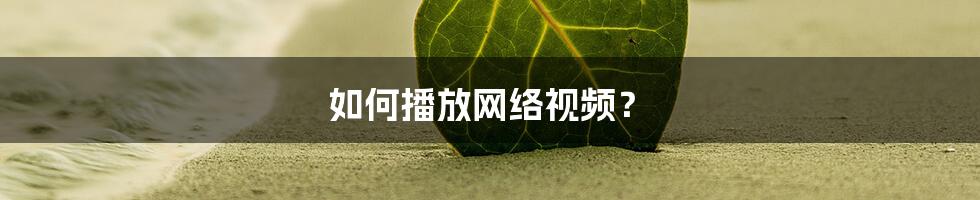 如何播放网络视频？