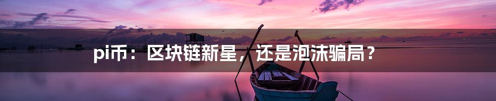 pi币：区块链新星，还是泡沫骗局？