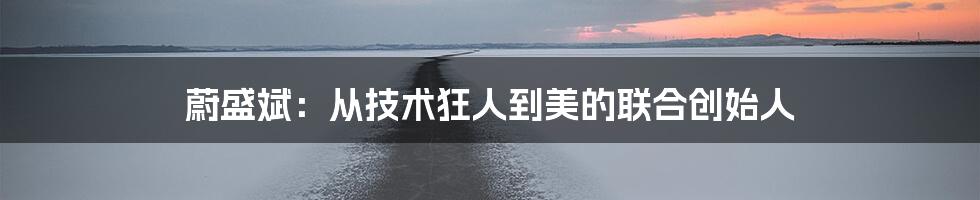 蔚盛斌：从技术狂人到美的联合创始人