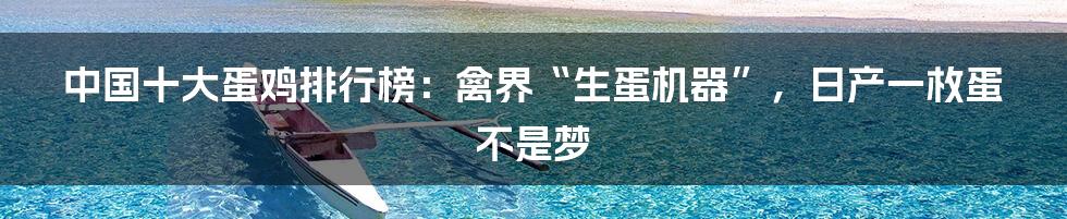 中国十大蛋鸡排行榜：禽界“生蛋机器”，日产一枚蛋不是梦