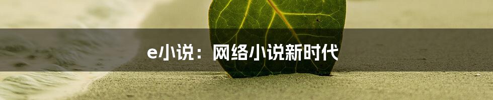 e小说：网络小说新时代