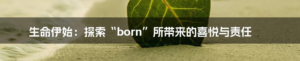 生命伊始：探索“born”所带来的喜悦与责任