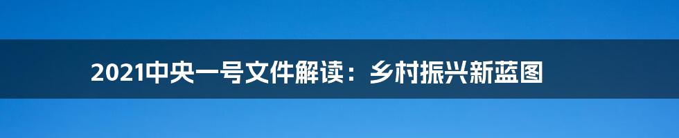 2021中央一号文件解读：乡村振兴新蓝图