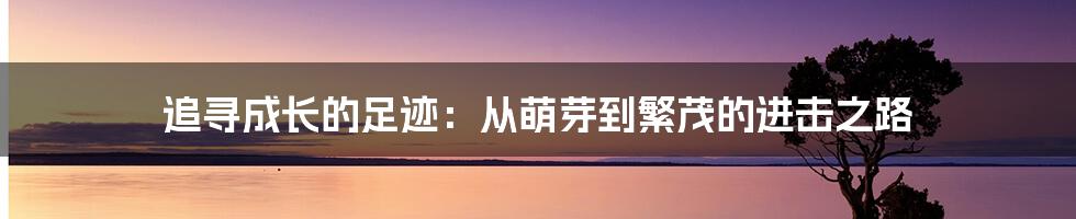 追寻成长的足迹：从萌芽到繁茂的进击之路