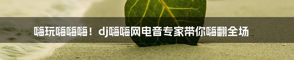 嗨玩嗨嗨嗨！dj嗨嗨网电音专家带你嗨翻全场