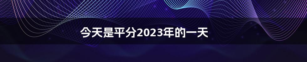 今天是平分2023年的一天