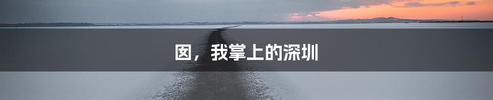 囡，我掌上的深圳