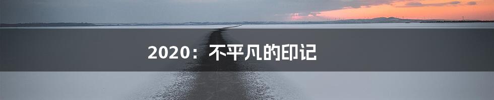 2020：不平凡的印记