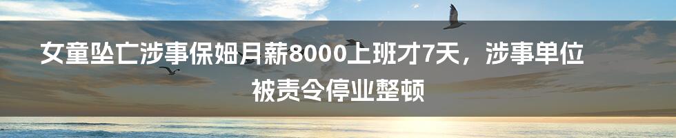 女童坠亡涉事保姆月薪8000上班才7天，涉事单位被责令停业整顿