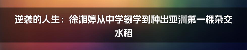 逆袭的人生：徐湘婷从中学辍学到种出亚洲第一棵杂交水稻