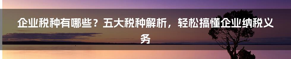 企业税种有哪些？五大税种解析，轻松搞懂企业纳税义务