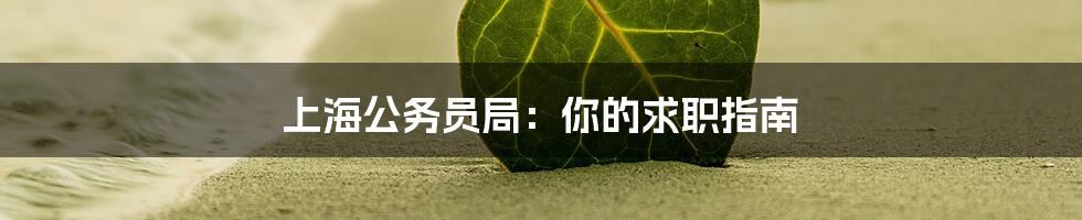 上海公务员局：你的求职指南