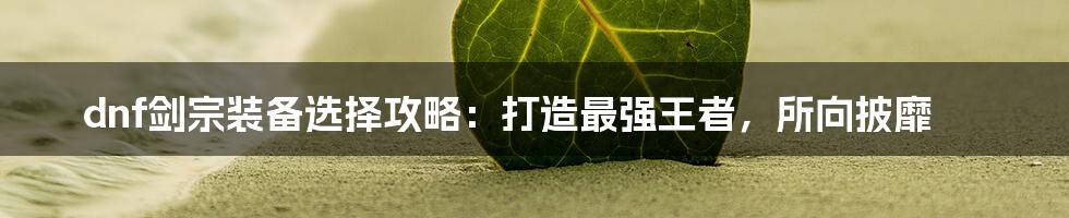 dnf剑宗装备选择攻略：打造最强王者，所向披靡