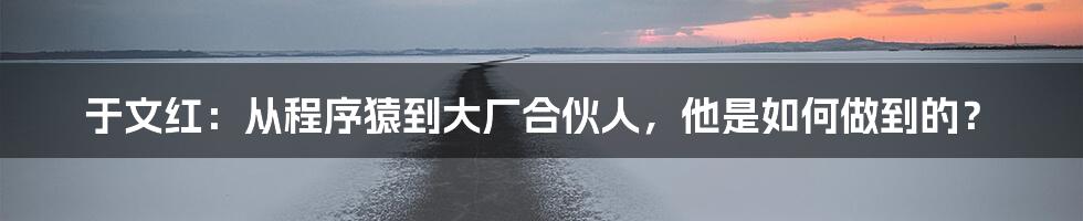 于文红：从程序猿到大厂合伙人，他是如何做到的？