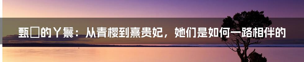 甄嬛的丫鬟：从青樱到熹贵妃，她们是如何一路相伴的