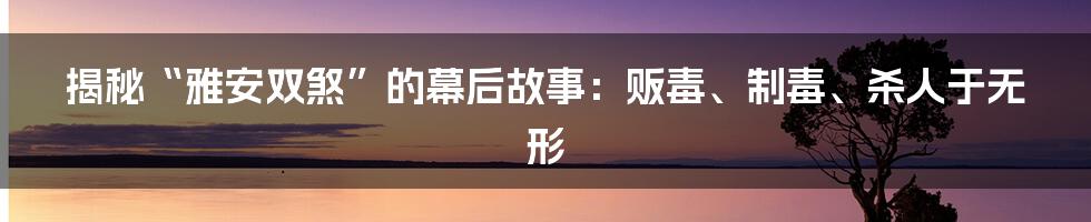 揭秘“雅安双煞”的幕后故事：贩毒、制毒、杀人于无形