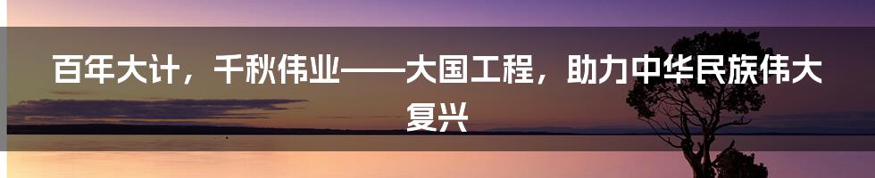 百年大计，千秋伟业——大国工程，助力中华民族伟大复兴