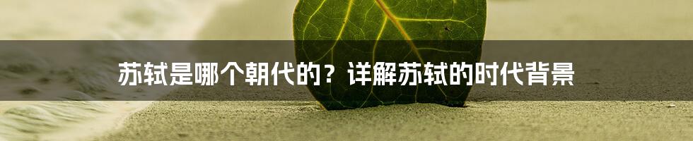 苏轼是哪个朝代的？详解苏轼的时代背景