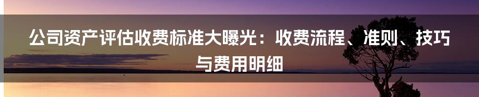 公司资产评估收费标准大曝光：收费流程、准则、技巧与费用明细