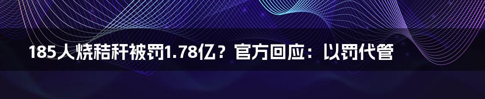 185人烧秸秆被罚1.78亿？官方回应：以罚代管