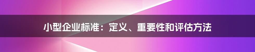 小型企业标准：定义、重要性和评估方法