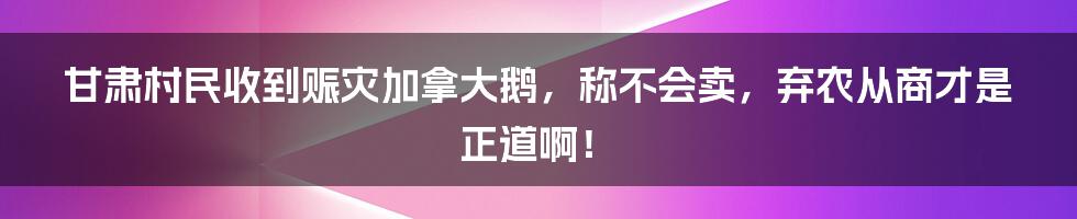 甘肃村民收到赈灾加拿大鹅，称不会卖，弃农从商才是正道啊！