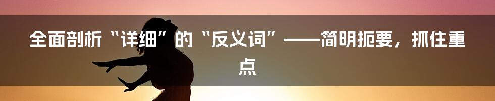 全面剖析“详细”的“反义词”——简明扼要，抓住重点