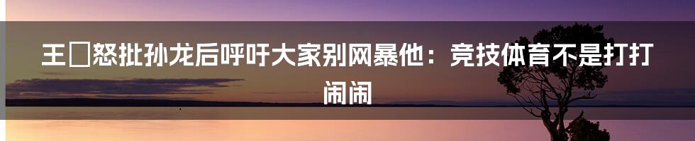 王濛怒批孙龙后呼吁大家别网暴他：竞技体育不是打打闹闹