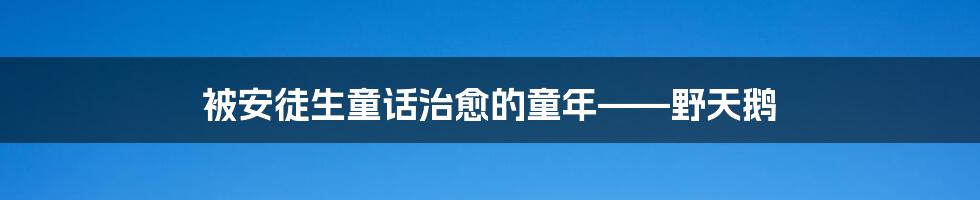 被安徒生童话治愈的童年——野天鹅