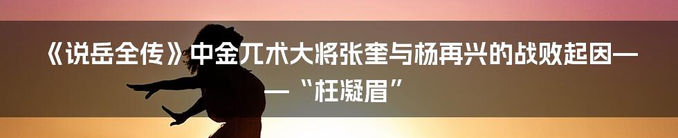 《说岳全传》中金兀术大将张奎与杨再兴的战败起因——“枉凝眉”