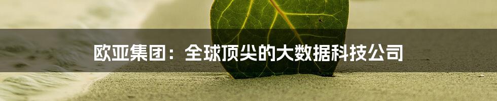 欧亚集团：全球顶尖的大数据科技公司