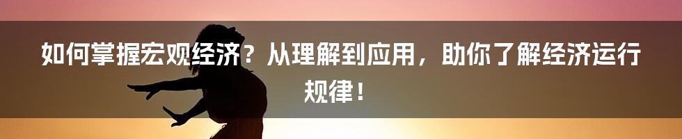 如何掌握宏观经济？从理解到应用，助你了解经济运行规律！