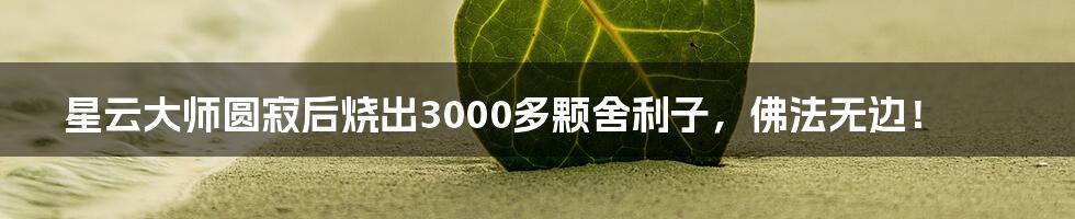 星云大师圆寂后烧出3000多颗舍利子，佛法无边！