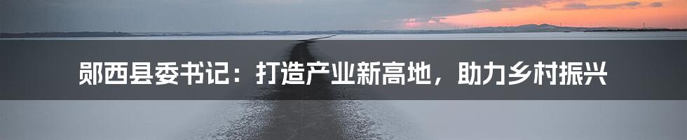 郧西县委书记：打造产业新高地，助力乡村振兴