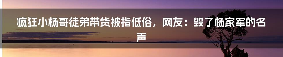 疯狂小杨哥徒弟带货被指低俗，网友：毁了杨家军的名声