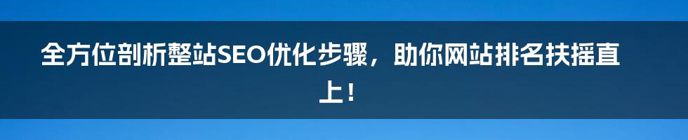 全方位剖析整站SEO优化步骤，助你网站排名扶摇直上！