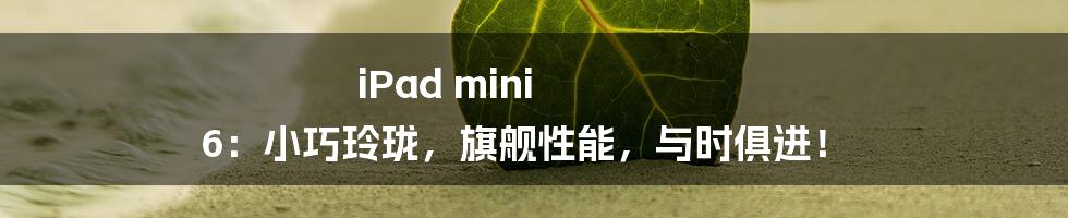 iPad mini 6：小巧玲珑，旗舰性能，与时俱进！