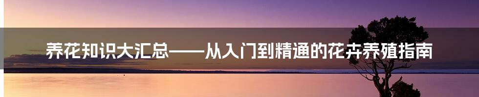 养花知识大汇总——从入门到精通的花卉养殖指南