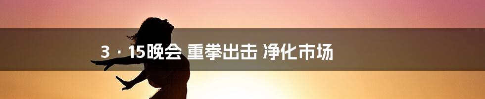 3·15晚会 重拳出击 净化市场