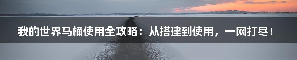 我的世界马桶使用全攻略：从搭建到使用，一网打尽！